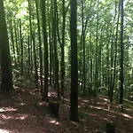 Lejlighed Familien Themen-appartement Freiburg In 2 Schlafzimmer *