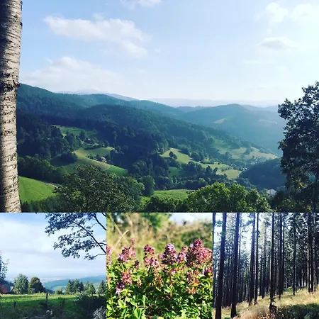 Apartamento Familien Themen-appartement Freiburg In 2 Schlafzimmer