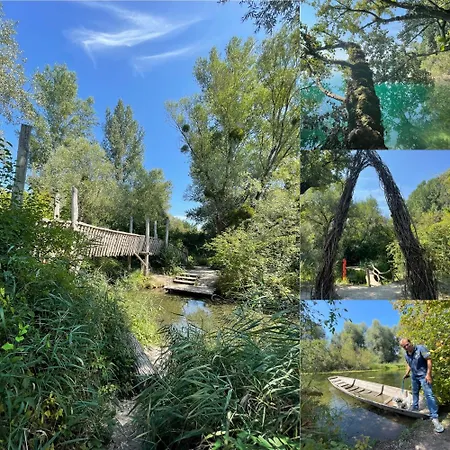 Familien Themen-appartement Freiburg In 2 Schlafzimmer *