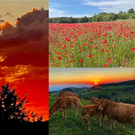 Familien Themen-appartement Freiburg In 2 Schlafzimmer Sölden