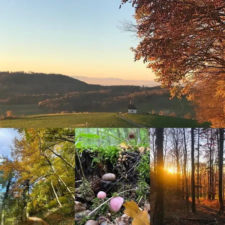 Familien Themen-appartement Freiburg In 2 Schlafzimmer Sölden