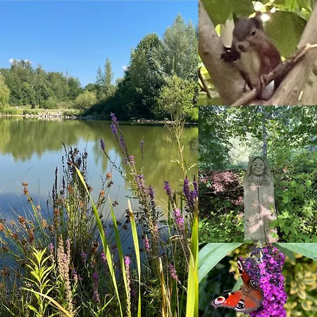Familien Themen-appartement Freiburg In 2 Schlafzimmer *