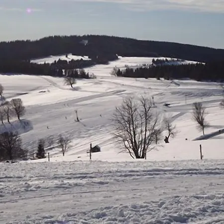 Familien Themen-appartement Freiburg In 2 Schlafzimmer