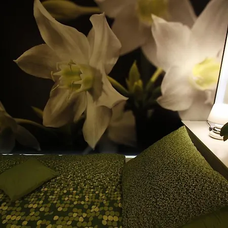 Familien Themen-appartement Freiburg In 2 Schlafzimmer Apartamento