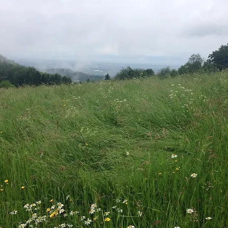 Familien Themen-appartement Freiburg In 2 Schlafzimmer Apartamento