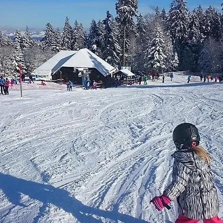 Apartamento Familien Themen-appartement Freiburg In 2 Schlafzimmer *