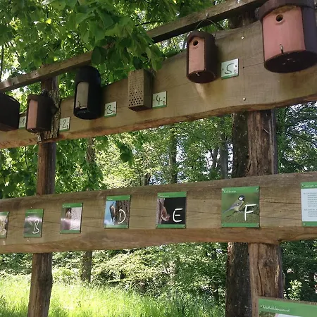 Familien Themen-appartement Freiburg In 2 Schlafzimmer Sölden