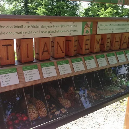 Familien Themen-appartement Freiburg In 2 Schlafzimmer Apartamento