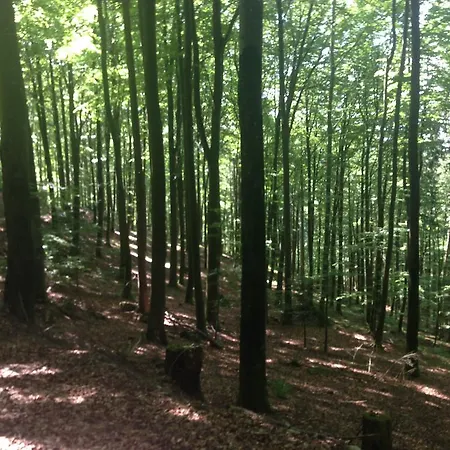 Apartamento Familien Themen-appartement Freiburg In 2 Schlafzimmer *