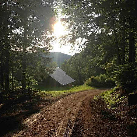 Apartamento Familien Themen-appartement Freiburg In 2 Schlafzimmer