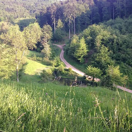 Familien Themen-appartement Freiburg In 2 Schlafzimmer Sölden