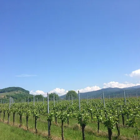 Familien Themen-appartement Freiburg In 2 Schlafzimmer Apartamento