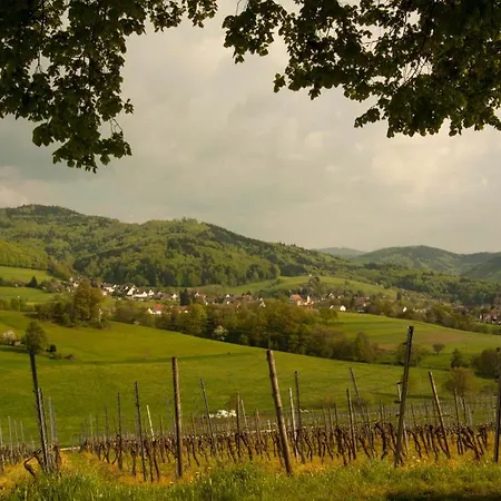 Familien Themen-appartement Freiburg In 2 Schlafzimmer *